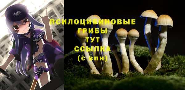 не бодяженный Белокуриха