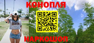 мяу мяу мука Аргун