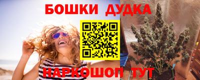 мяу мяу мука Аргун