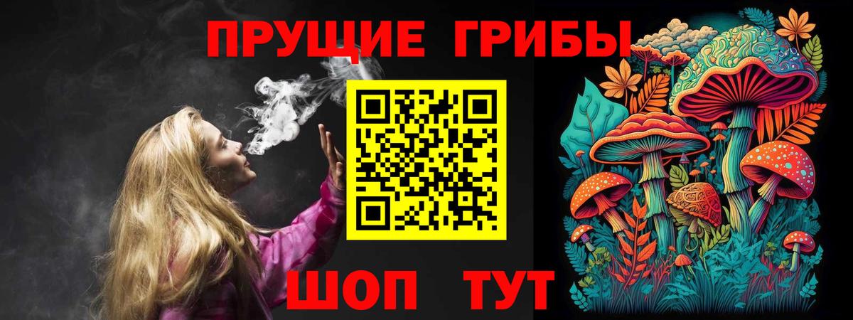 Аргун  Псилоцибиновые грибы мухоморы  Галлюциногенные грибы Psilocybine cubensis  Вход с VPN 