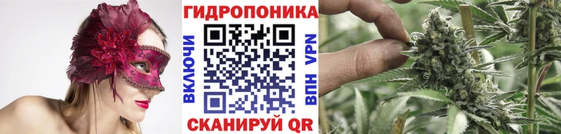 Бошки Шишки Ganja  где можно купить наркотик  Аргун 